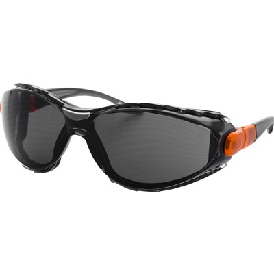 -RIOT SHIELD- FOAM LINED SAFETY GLASSES