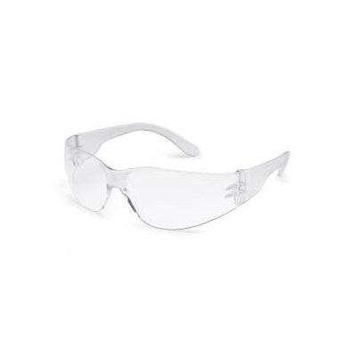Starlite Mag双焦点安全眼镜